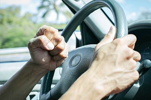 steering wheel and driver honking the horn