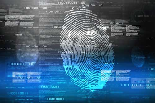 protecting yourself from data breaches and- dentity thieves